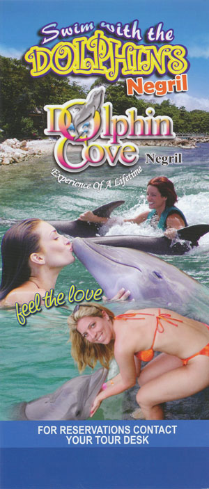 Dolphin Cove
